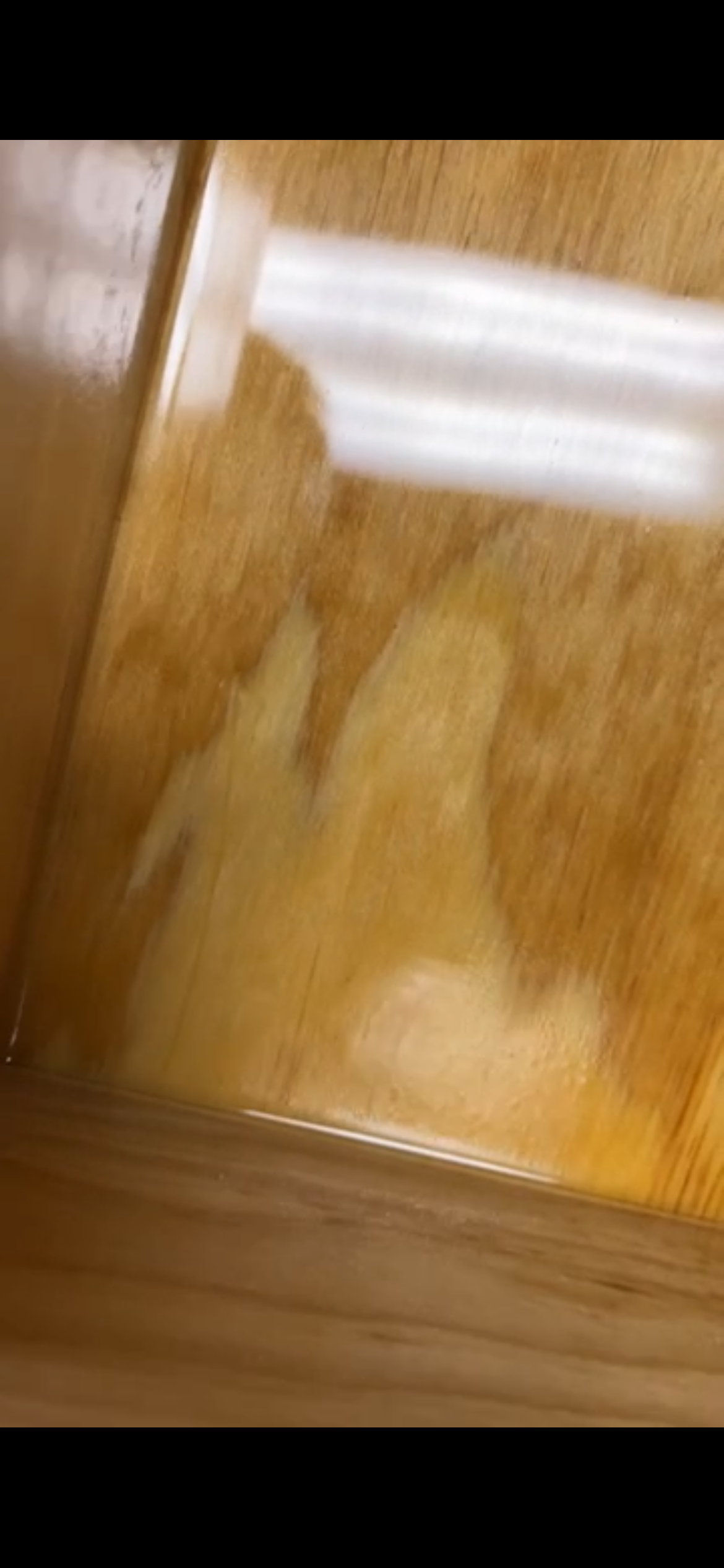 Penetrating epoxy flood pattern showing deep absorption into raw pine interior panel
